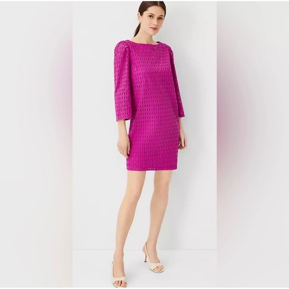 NEW Ann Taylor Medium Pink Eyelet Shift Dress 3/4 Sleeve Garden Party Classic